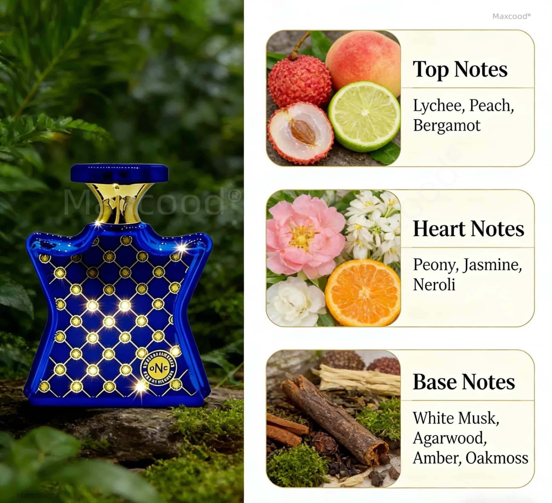 น้ำหอมกลิ่นส้มและดอกไม้ กลิ่นห - Perfume High Fragrance บทวิจารณ์และราคา